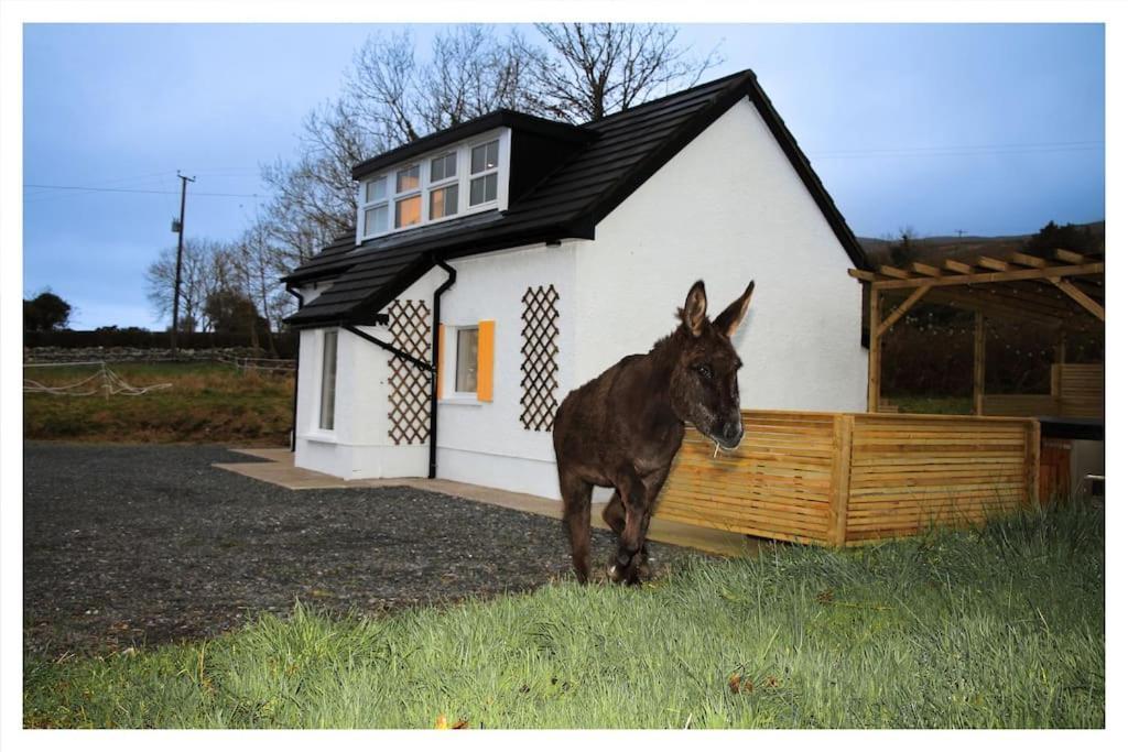 Killeavy Cottage Meigh Extérieur photo