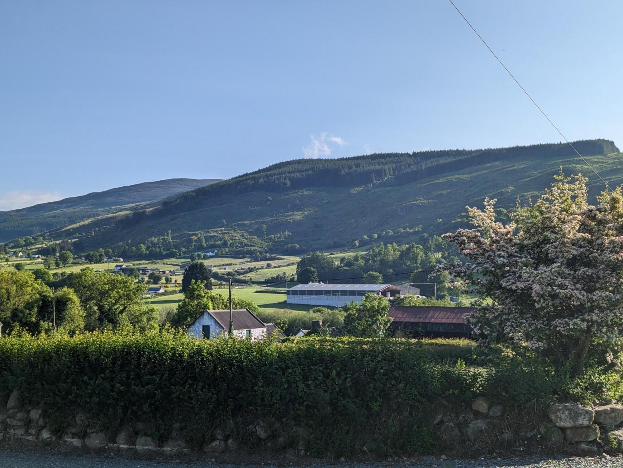 Killeavy Cottage Meigh Extérieur photo