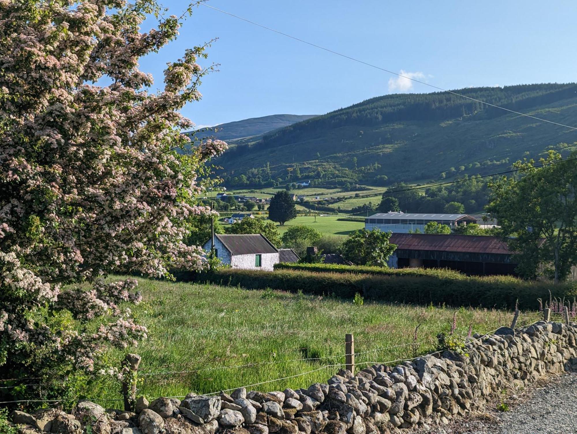Killeavy Cottage Meigh Extérieur photo